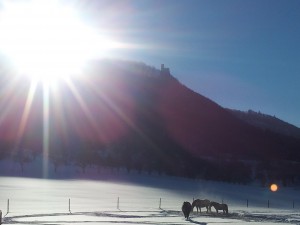 schnee unterm reuenstein 12.12.12